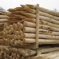 Palen rond gepeld kastanje